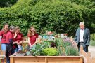 Vier Frauen links in weinroten Shirts, rechts blickt ein Mann neugierig auf Gemüse in einem Hochbeet.
