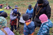 Eine Gruppe von Kindern Pflanzt Douglasien mit einem Förster