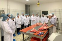 Personengruppe mit weißer Kleidung und Schutzhauben vor Tisch, Mann zerlegt fachgerecht Fleisch.