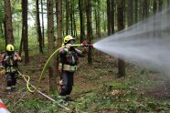 Zwei Feuerwehrleute mit Ausrüstung löschen mit Wasser im Wald.
